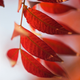 Illustration for article titled Shooting Challenge Fall Leaves Gallery 2